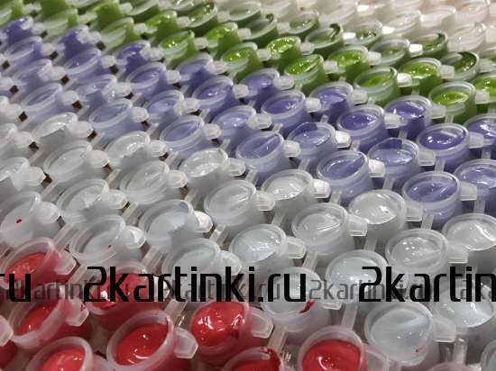 Картина по номерам 40x50 GX42758 Темноглазая девчонка с цветами и птицами в волосах за 320 руб.  в интернет-магазине  Картина по номерам 40x50 Темноглазая девчонка с цветами и птицами в волосах