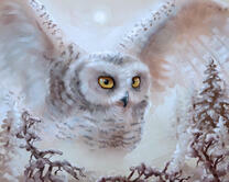 Без бренда «2KMB-3848» в Рязани