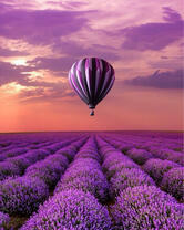 Без бренда «2KMB-4091» в Рязани