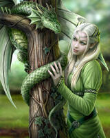 Без бренда «Эльфийка и зеленый дракон» в Рязани