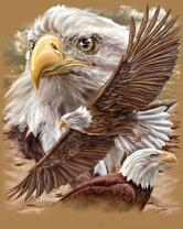 Без бренда «2KMB-4315» в Рязани