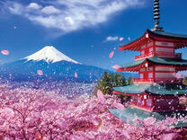 Без бренда «2KSB-7277» в Рязани