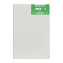 Без бренда «Коробка 80 шт.: Холст Две картинки на подрамнике 20X30» в Рязани