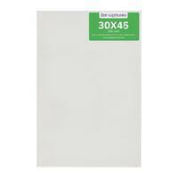 Без бренда «Коробка 40 шт.: Холст Две картинки на подрамнике 30X45» в Рязани