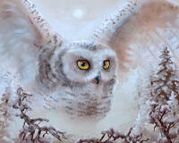 Без бренда «Полярная сова над лесом (20шт)» в Рязани