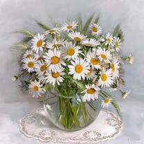 Без бренда «Букет свежих ромашек» в Рязани