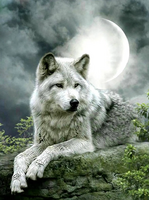 Без бренда «Коробка 25 шт. картин по номерам BOX25-GX21058» в Рязани в интернет-магазине  Без бренда «Коробка 25 шт. картин по номерам BOX25-GX21058» в Рязани