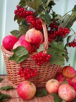 Без бренда «Коробка 25 шт. картин по номерам BOX25-GX5174» в Рязани