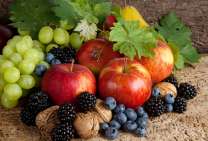 Без бренда «Фрукты, ягоды и орехи» в Рязани