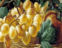 Сочный белый виноград