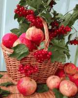 Без бренда «Плетёная корзина с калиной и яблоками» в Рязани
