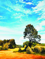 Без бренда «Осенний пейзаж с голубым небом» в Рязани в интернет-магазине  Без бренда «Осенний пейзаж с голубым небом» в Рязани