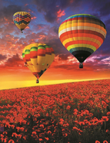 Полет воздушных шаров над маковым полем