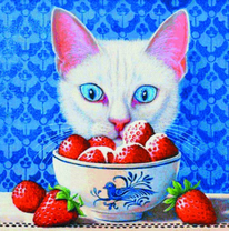 Белый кот и клубника со сливками