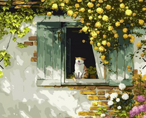 Кот зевает на подоконнике