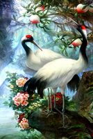 Без бренда «Коробка 25 шт. картин по номерам BOX25-GX29399» в Рязани в интернет-магазине  Без бренда «Коробка 25 шт. картин по номерам BOX25-GX29399» в Рязани