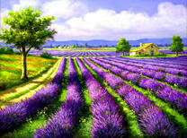 Дом на лавандовом поле