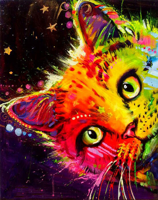 Картина по номерам 40x50 Цветной любопытный котёнок