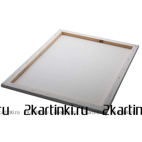 Картина по номерам 40x50 GX42758 Темноглазая девчонка с цветами и птицами в волосах за 320 руб.  в интернет-магазине  Картина по номерам 40x50 Темноглазая девчонка с цветами и птицами в волосах