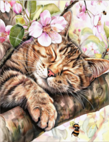 Без бренда «Волосатый котик спит на ветви яблони» в Рязани